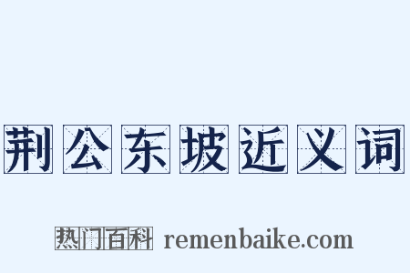 荆公东坡近义词是什么意思的图片